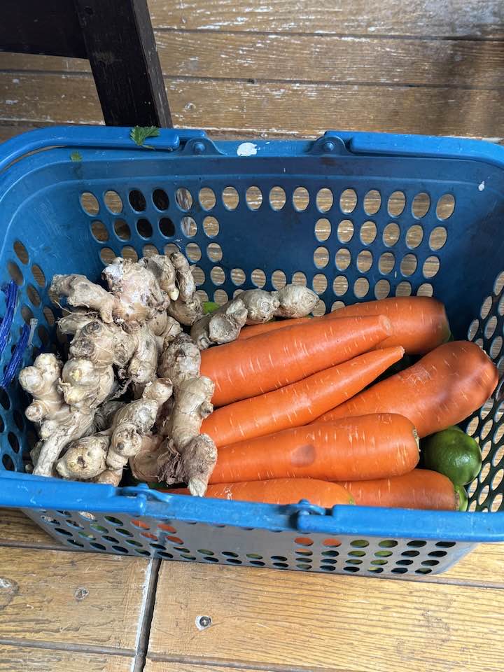 420082883_2330665560478036_3793874077279875357_n