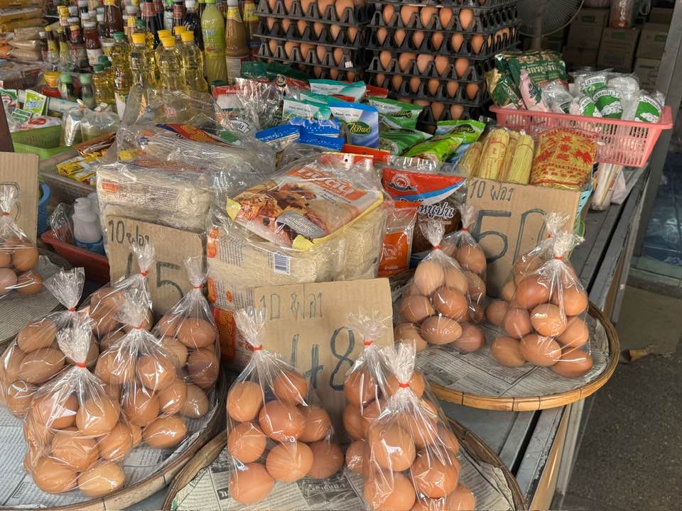 427483385_2347693158775276_1714065878454621826_n