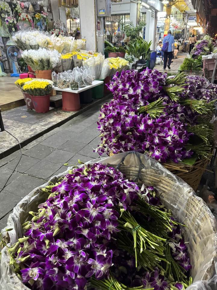 427918945_2347685005442758_1314989387371689256_n