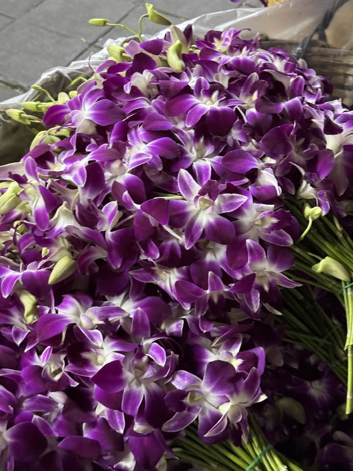 427927436_2347684885442770_4852704235115018556_n