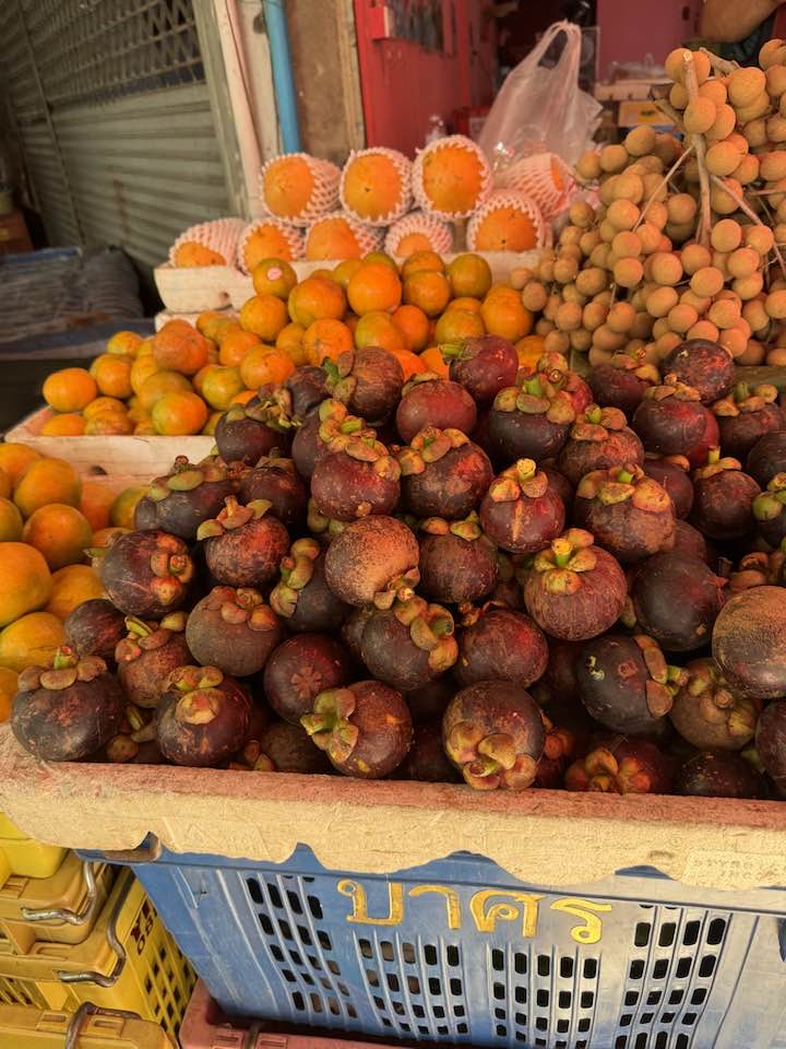 427931244_2347682225443036_7820885895597315404_n