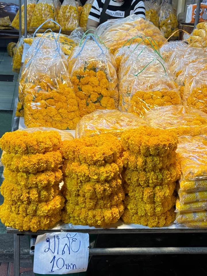 427935975_2347684892109436_7497706530417791472_n