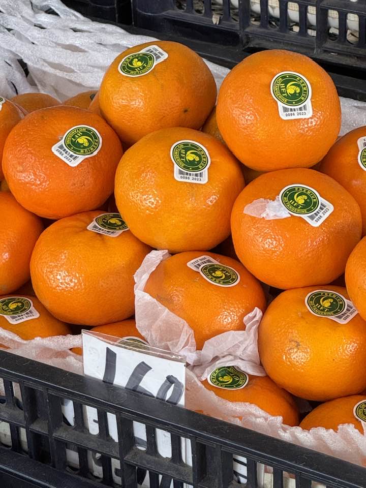 427945782_2347682335443025_8372605209688179234_n