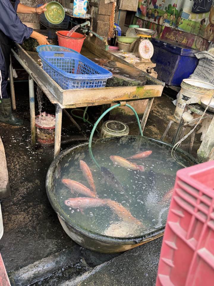 427949029_2347693295441929_7043310708836048503_n