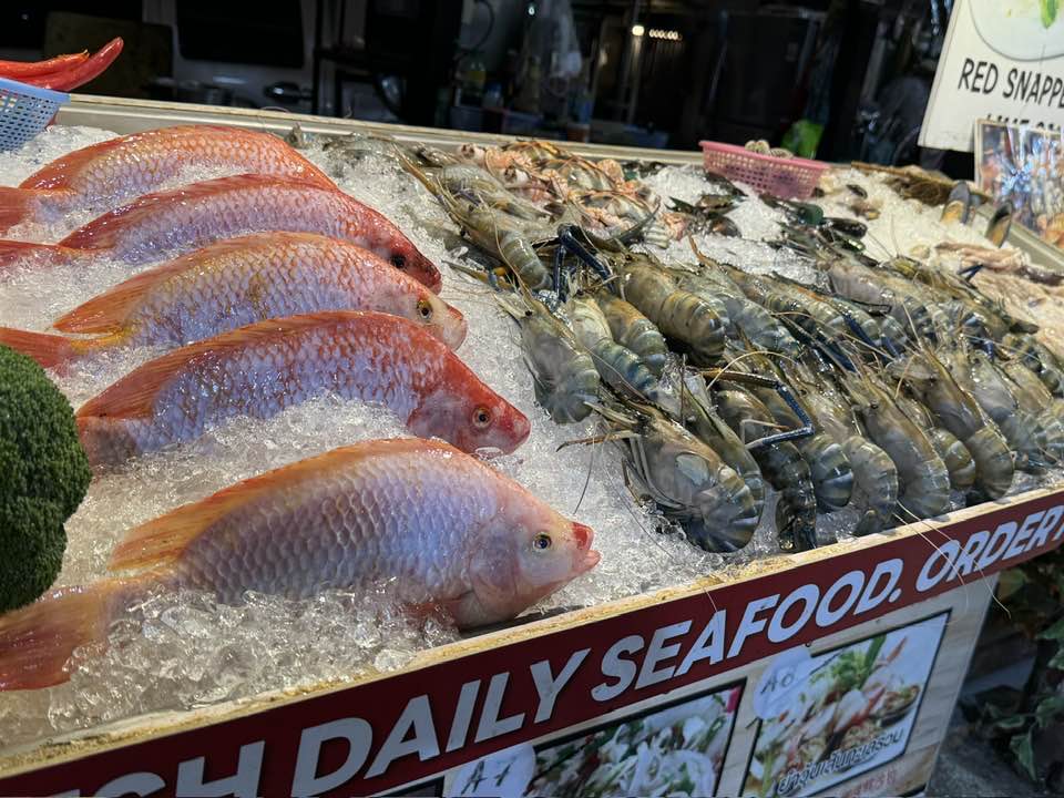 427959936_2347687695442489_7182443264216133794_n