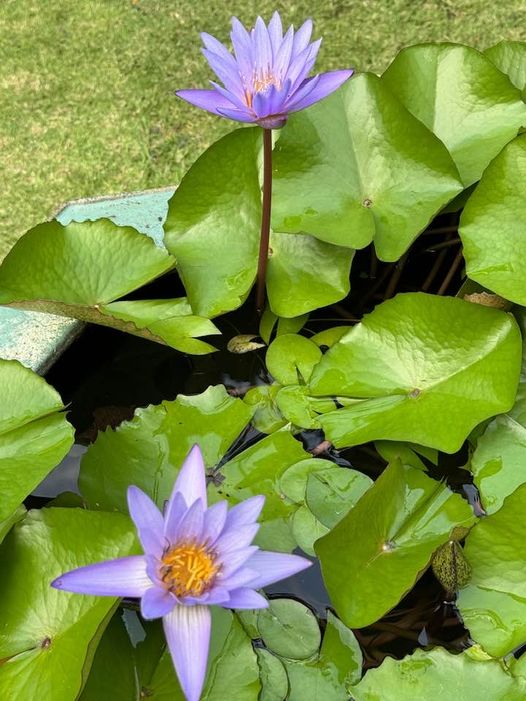 431750293_2363930283818230_2017192669687247060_n